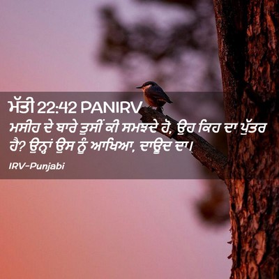 Picture 02 - ਮੱਤੀ 22:42 PANIRV - ਮਸੀਹ ਦੇ ਬਾਰੇ ਤੁਸੀਂ - Bible Verse Picture