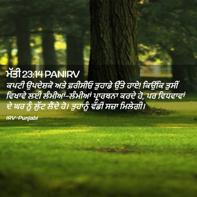 Picture 02 - ਮੱਤੀ 23:14 PANIRV - ਕਪਟੀ ਉਪਦੇਸ਼ਕੋ ਅਤੇ - Bible Verse Picture