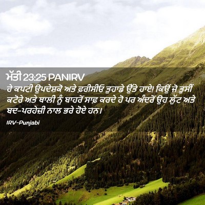 Picture 02 - ਮੱਤੀ 23:25 PANIRV - ਹੇ ਕਪਟੀ ਉਪਦੇਸ਼ਕੋ - Bible Verse Picture