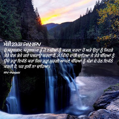 Picture 02 - ਮੱਤੀ 23:37 PANIRV - ਹੇ ਯਰੂਸ਼ਲਮ, - Bible Verse Picture