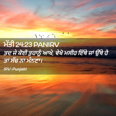 Picture 02 - ਮੱਤੀ 24:23 PANIRV - ਤਦ ਜੇ ਕੋਈ ਤੁਹਾਨੂੰ - Bible Verse Picture