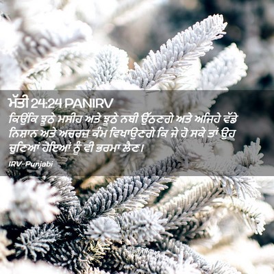 Picture 02 - ਮੱਤੀ 24:24 PANIRV - ਕਿਉਂਕਿ ਝੂਠੇ ਮਸੀਹ - Bible Verse Picture