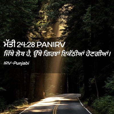 Picture 02 - ਮੱਤੀ 24:28 PANIRV - ਜਿੱਥੇ ਲੋਥ ਹੈ, ਉੱਥੇ - Bible Verse Picture