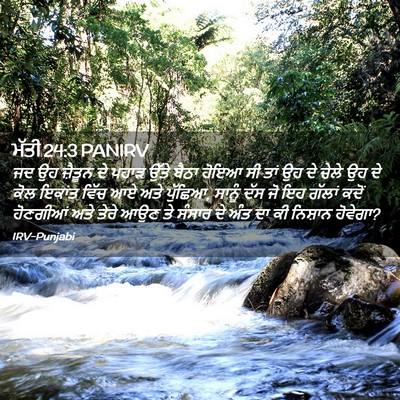 Picture 02 - ਮੱਤੀ 24:3 PANIRV - ਜਦ ਉਹ ਜ਼ੈਤੂਨ ਦੇ - Bible Verse Picture