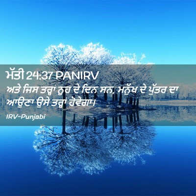 Picture 02 - ਮੱਤੀ 24:37 PANIRV - ਅਤੇ ਜਿਸ ਤਰ੍ਹਾਂ ਨੂਹ - Bible Verse Picture