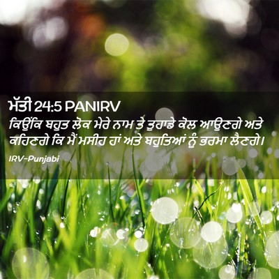 Picture 02 - ਮੱਤੀ 24:5 PANIRV - ਕਿਉਂਕਿ ਬਹੁਤ ਲੋਕ - Bible Verse Picture
