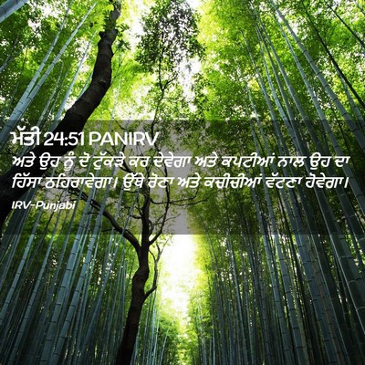 Picture 02 - ਮੱਤੀ 24:51 PANIRV - ਅਤੇ ਉਹ ਨੂੰ ਦੋ - Bible Verse Picture