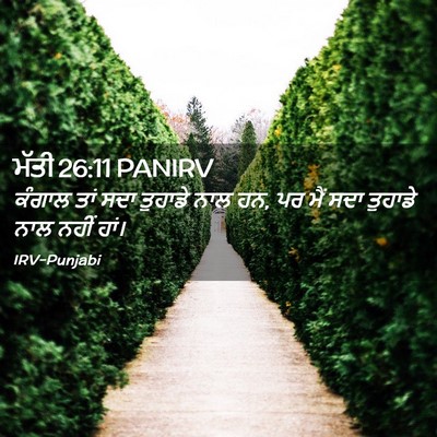 Picture 02 - ਮੱਤੀ 26:11 PANIRV - ਕੰਗਾਲ ਤਾਂ ਸਦਾ - Bible Verse Picture
