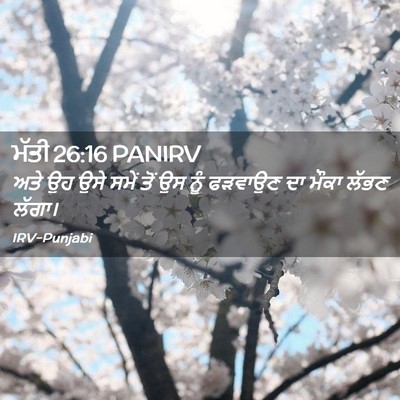 Picture 02 - ਮੱਤੀ 26:16 PANIRV - ਅਤੇ ਉਹ ਉਸੇ ਸਮੇਂ ਤੋਂ - Bible Verse Picture