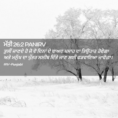 Picture 02 - ਮੱਤੀ 26:2 PANIRV - ਤੁਸੀਂ ਜਾਣਦੇ ਹੋ ਜੋ - Bible Verse Picture