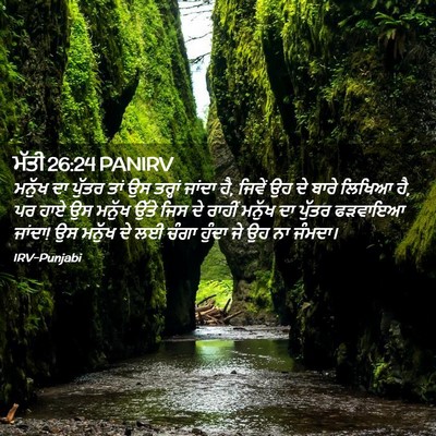 Picture 02 - ਮੱਤੀ 26:24 PANIRV - ਮਨੁੱਖ ਦਾ ਪੁੱਤਰ ਤਾਂ - Bible Verse Picture