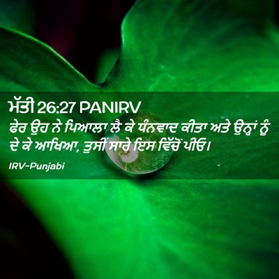 Picture 02 - ਮੱਤੀ 26:27 PANIRV - ਫੇਰ ਉਹ ਨੇ ਪਿਆਲਾ ਲੈ - Bible Verse Picture