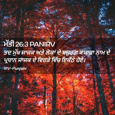 Picture 02 - ਮੱਤੀ 26:3 PANIRV - ਤਦ ਮੁੱਖ ਜਾਜਕ ਅਤੇ - Bible Verse Picture