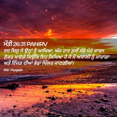 Picture 02 - ਮੱਤੀ 26:31 PANIRV - ਤਦ ਯਿਸੂ ਨੇ ਉਨ੍ਹਾਂ - Bible Verse Picture