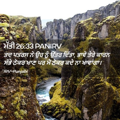 Picture 02 - ਮੱਤੀ 26:33 PANIRV - ਤਦ ਪਤਰਸ ਨੇ ਉਹ ਨੂੰ - Bible Verse Picture