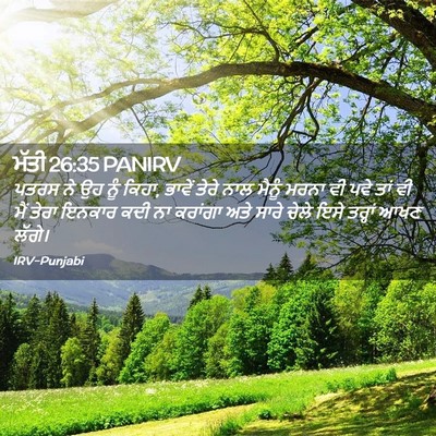 Picture 02 - ਮੱਤੀ 26:35 PANIRV - ਪਤਰਸ ਨੇ ਉਹ ਨੂੰ - Bible Verse Picture
