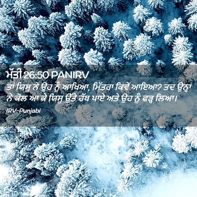 Picture 02 - ਮੱਤੀ 26:50 PANIRV - ਤਾਂ ਯਿਸੂ ਨੇ ਉਹ ਨੂੰ - Bible Verse Picture