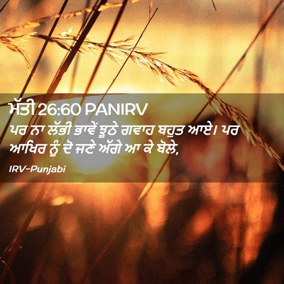 Picture 02 - ਮੱਤੀ 26:60 PANIRV - ਪਰ ਨਾ ਲੱਭੀ ਭਾਵੇਂ - Bible Verse Picture