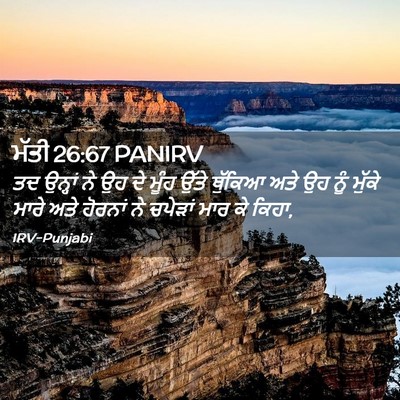 Picture 02 - ਮੱਤੀ 26:67 PANIRV - ਤਦ ਉਨ੍ਹਾਂ ਨੇ ਉਹ ਦੇ - Bible Verse Picture