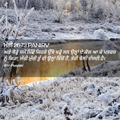 Picture 02 - ਮੱਤੀ 26:73 PANIRV - ਅਤੇ ਥੋੜ੍ਹੇ ਸਮੇਂ - Bible Verse Picture
