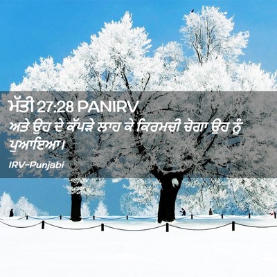 Picture 02 - ਮੱਤੀ 27:28 PANIRV - ਅਤੇ ਉਹ ਦੇ ਕੱਪੜੇ ਲਾਹ - Bible Verse Picture