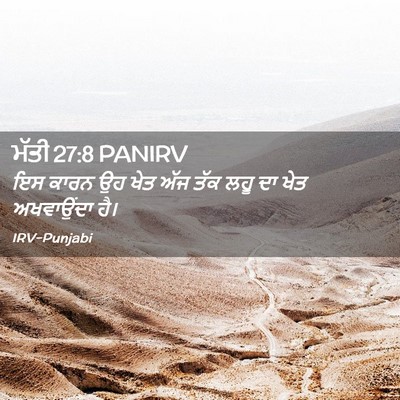 Picture 02 - ਮੱਤੀ 27:8 PANIRV - ਇਸ ਕਾਰਨ ਉਹ ਖੇਤ ਅੱਜ - Bible Verse Picture