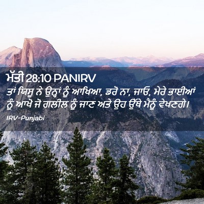Picture 02 - ਮੱਤੀ 28:10 PANIRV - ਤਾਂ ਯਿਸੂ ਨੇ ਉਨ੍ਹਾਂ - Bible Verse Picture