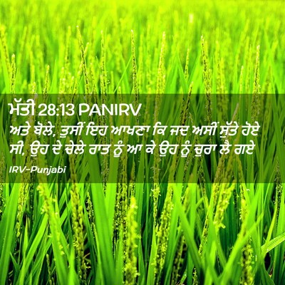 Picture 02 - ਮੱਤੀ 28:13 PANIRV - ਅਤੇ ਬੋਲੇ, ਤੁਸੀਂ ਇਹ - Bible Verse Picture