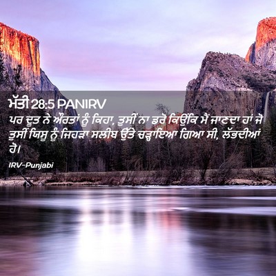Picture 02 - ਮੱਤੀ 28:5 PANIRV - ਪਰ ਦੂਤ ਨੇ ਔਰਤਾਂ ਨੂੰ - Bible Verse Picture