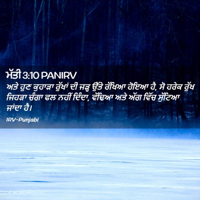 Picture 02 - ਮੱਤੀ 3:10 PANIRV - ਅਤੇ ਹੁਣ ਕੁਹਾੜਾ - Bible Verse Picture