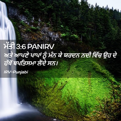 Picture 02 - ਮੱਤੀ 3:6 PANIRV - ਅਤੇ ਆਪਣੇ ਪਾਪਾਂ ਨੂੰ - Bible Verse Picture