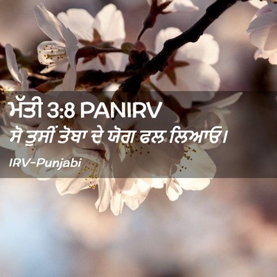 Picture 02 - ਮੱਤੀ 3:8 PANIRV - ਸੋ ਤੁਸੀਂ ਤੋਬਾ ਦੇ - Bible Verse Picture