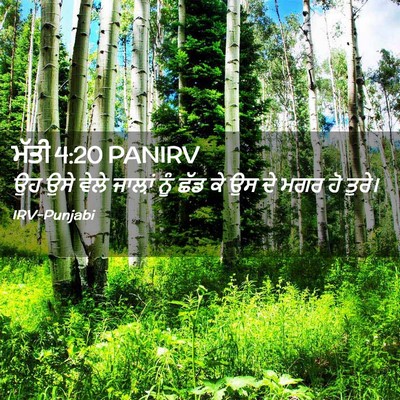 Picture 02 - ਮੱਤੀ 4:20 PANIRV - ਉਹ ਉਸੇ ਵੇਲੇ ਜਾਲ਼ਾਂ - Bible Verse Picture