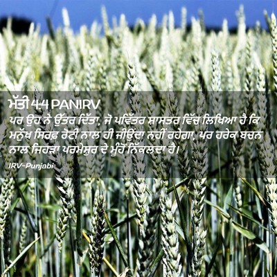 Picture 02 - ਮੱਤੀ 4:4 PANIRV - ਪਰ ਉਹ ਨੇ ਉੱਤਰ - Bible Verse Picture