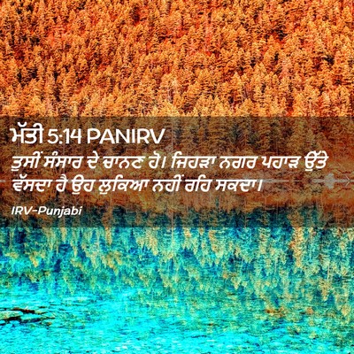 Picture 02 - ਮੱਤੀ 5:14 PANIRV - ਤੁਸੀਂ ਸੰਸਾਰ ਦੇ - Bible Verse Picture