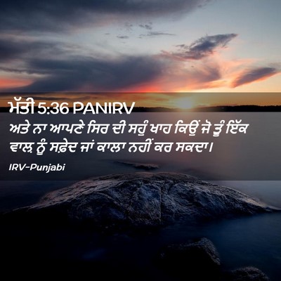 Picture 02 - ਮੱਤੀ 5:36 PANIRV - ਅਤੇ ਨਾ ਆਪਣੇ ਸਿਰ ਦੀ - Bible Verse Picture