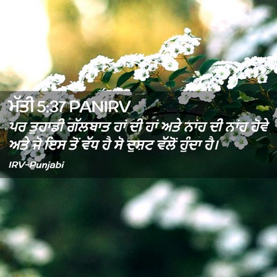 Picture 02 - ਮੱਤੀ 5:37 PANIRV - ਪਰ ਤੁਹਾਡੀ ਗੱਲਬਾਤ - Bible Verse Picture