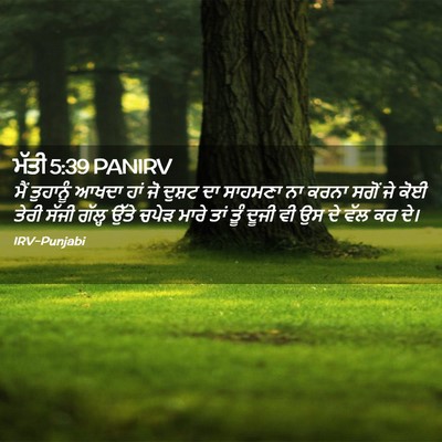 Picture 02 - ਮੱਤੀ 5:39 PANIRV - ਮੈਂ ਤੁਹਾਨੂੰ ਆਖਦਾ - Bible Verse Picture