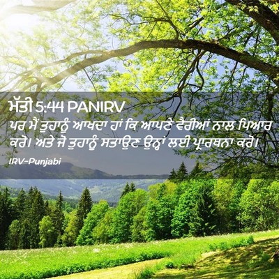 Picture 02 - ਮੱਤੀ 5:44 PANIRV - ਪਰ ਮੈਂ ਤੁਹਾਨੂੰ - Bible Verse Picture