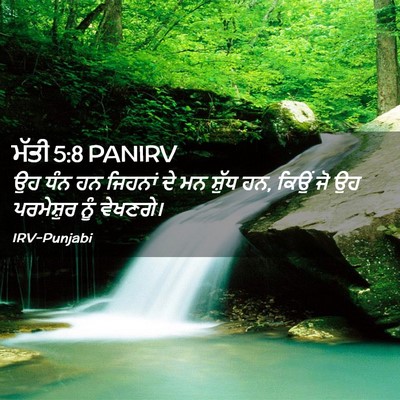 Picture 02 - ਮੱਤੀ 5:8 PANIRV - ਉਹ ਧੰਨ ਹਨ ਜਿਹਨਾਂ ਦੇ - Bible Verse Picture