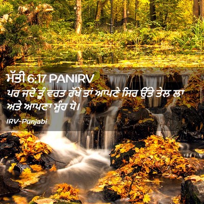 Picture 02 - ਮੱਤੀ 6:17 PANIRV - ਪਰ ਜਦੋਂ ਤੂੰ ਵਰਤ - Bible Verse Picture
