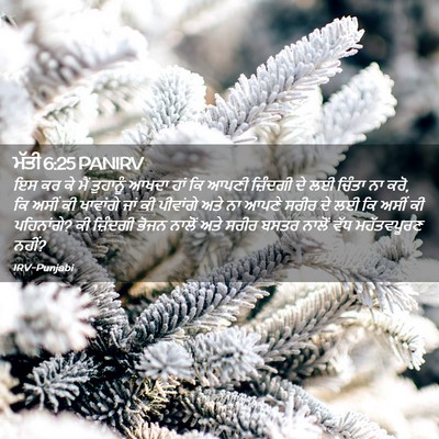 Picture 02 - ਮੱਤੀ 6:25 PANIRV - ਇਸ ਕਰ ਕੇ ਮੈਂ - Bible Verse Picture