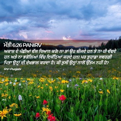 Picture 02 - ਮੱਤੀ 6:26 PANIRV - ਅਕਾਸ਼ ਦੇ ਪੰਛੀਆਂ - Bible Verse Picture