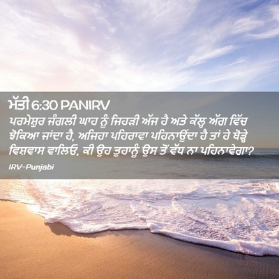 Picture 02 - ਮੱਤੀ 6:30 PANIRV - ਪਰਮੇਸ਼ੁਰ ਜੰਗਲੀ - Bible Verse Picture