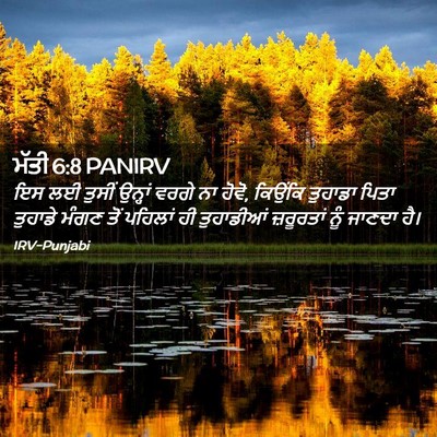Picture 02 - ਮੱਤੀ 6:8 PANIRV - ਇਸ ਲਈ ਤੁਸੀਂ ਉਨ੍ਹਾਂ - Bible Verse Picture