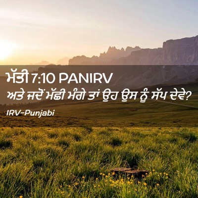 Picture 02 - ਮੱਤੀ 7:10 PANIRV - ਅਤੇ ਜਦੋਂ ਮੱਛੀ ਮੰਗੇ - Bible Verse Picture