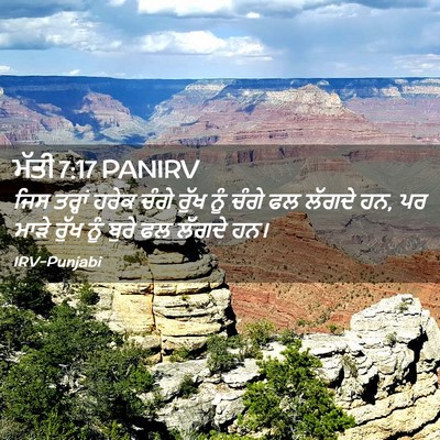 Picture 02 - ਮੱਤੀ 7:17 PANIRV - ਜਿਸ ਤਰ੍ਹਾਂ ਹਰੇਕ - Bible Verse Picture