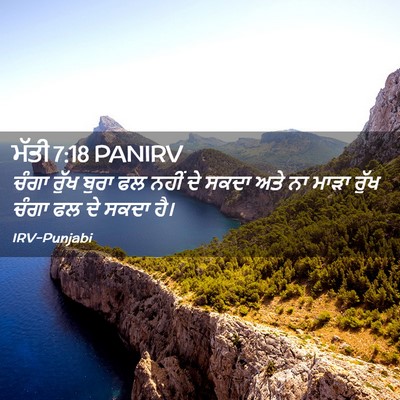 Picture 02 - ਮੱਤੀ 7:18 PANIRV - ਚੰਗਾ ਰੁੱਖ ਬੁਰਾ ਫਲ - Bible Verse Picture