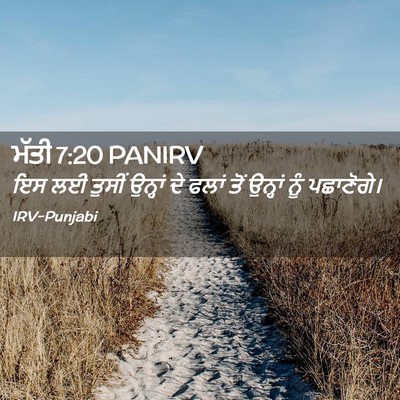 Picture 02 - ਮੱਤੀ 7:20 PANIRV - ਇਸ ਲਈ ਤੁਸੀਂ ਉਨ੍ਹਾਂ - Bible Verse Picture