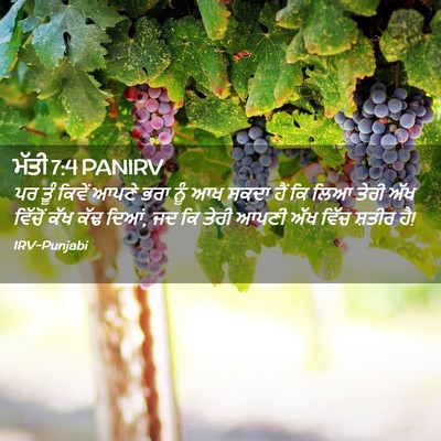 Picture 02 - ਮੱਤੀ 7:4 PANIRV - ਪਰ ਤੂੰ ਕਿਵੇਂ ਆਪਣੇ - Bible Verse Picture